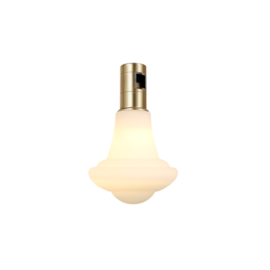 模组照明灯头 C3-100